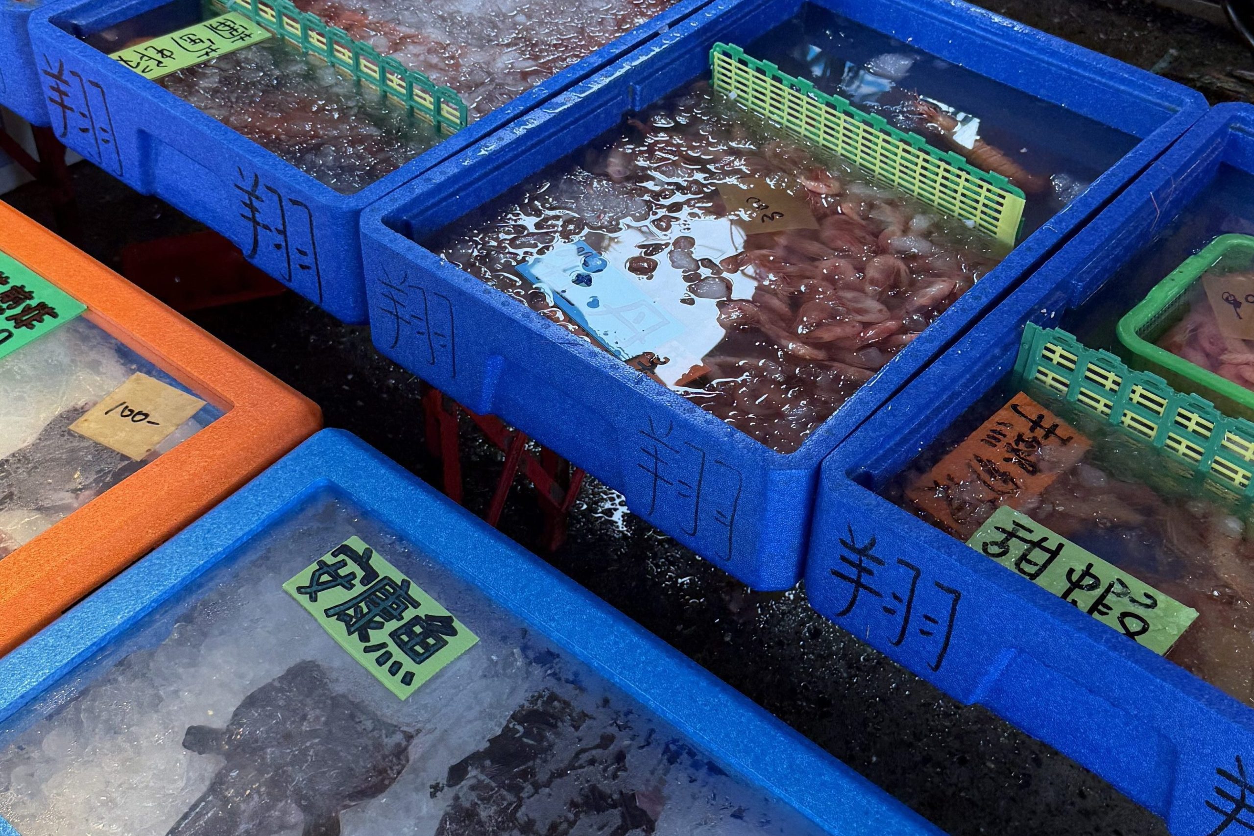 宜蘭大溪漁港海鮮攤位